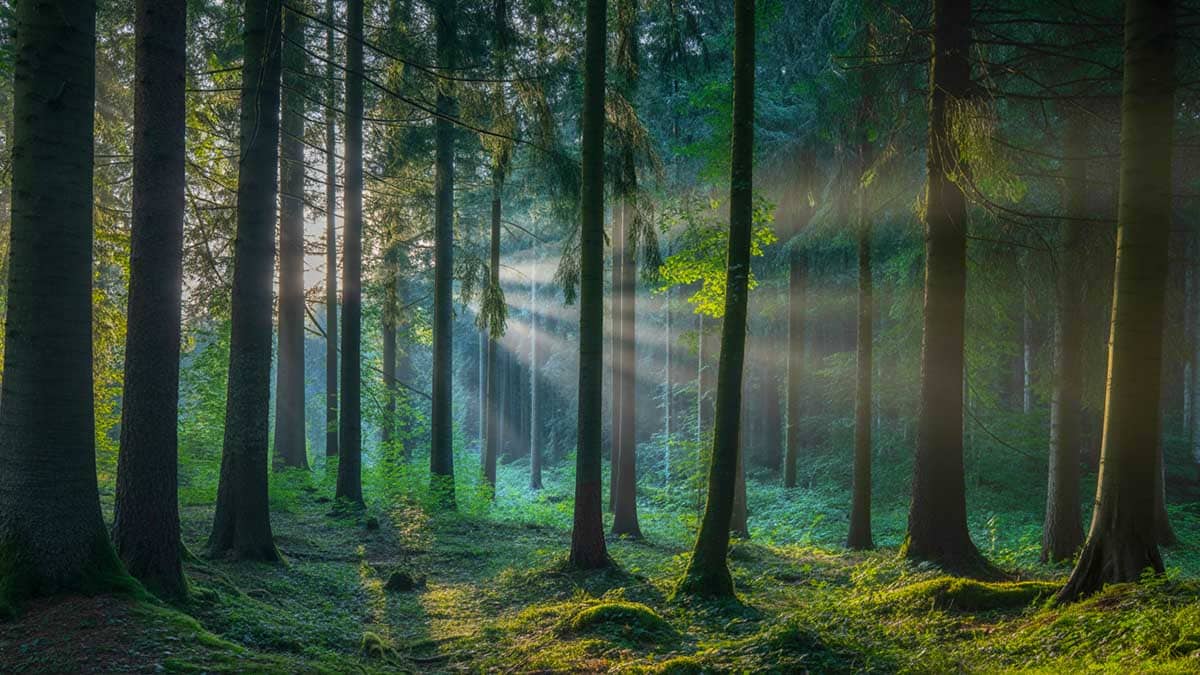 best places to visit in Germany