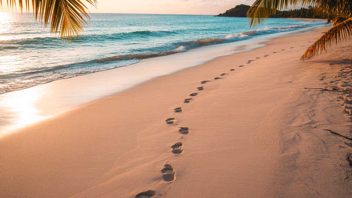 where to go in february for sun