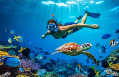 Caribbean snorkeling