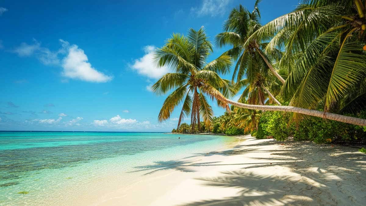 Saint John travel guide 2025