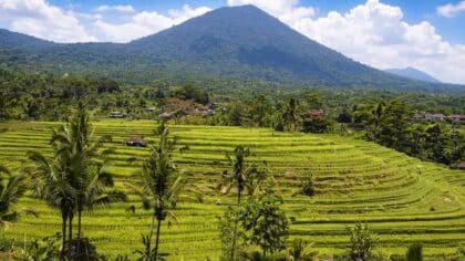 Bali itinerary 2 weeks 3 weeks