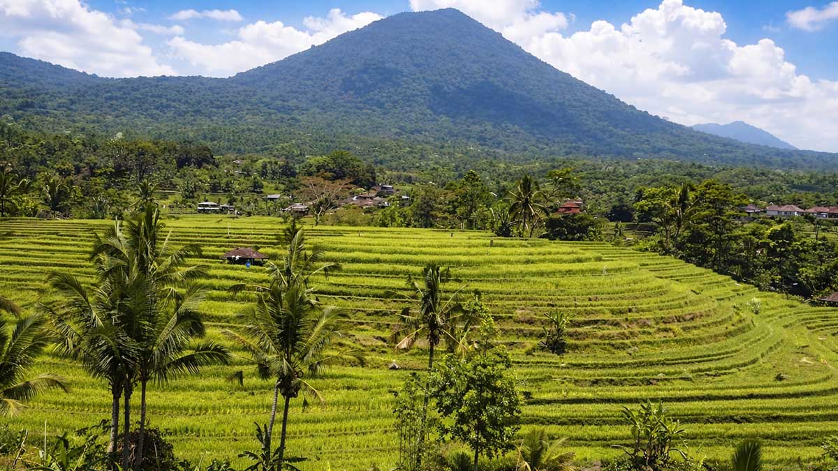 Bali itinerary 2 weeks 3 weeks