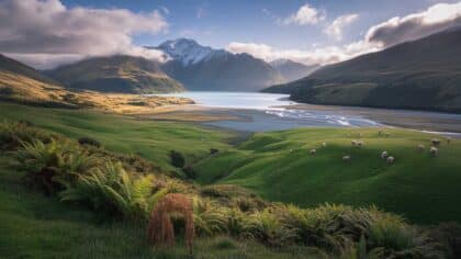 North Island vs South Island New Zealand